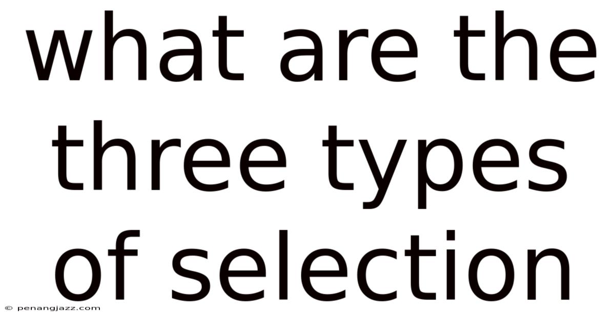 What Are The Three Types Of Selection