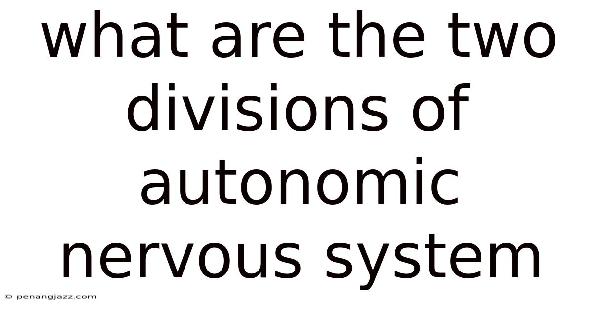 What Are The Two Divisions Of Autonomic Nervous System