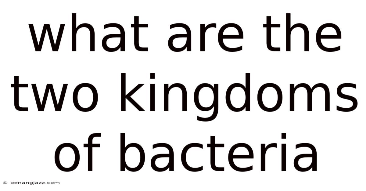 What Are The Two Kingdoms Of Bacteria