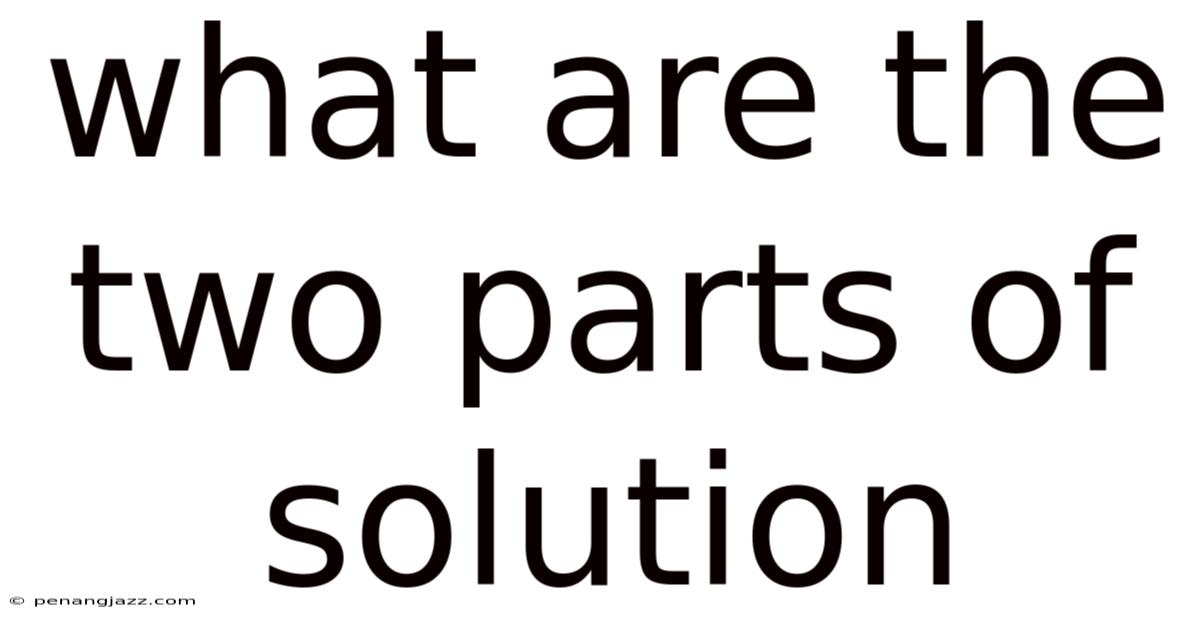 What Are The Two Parts Of Solution