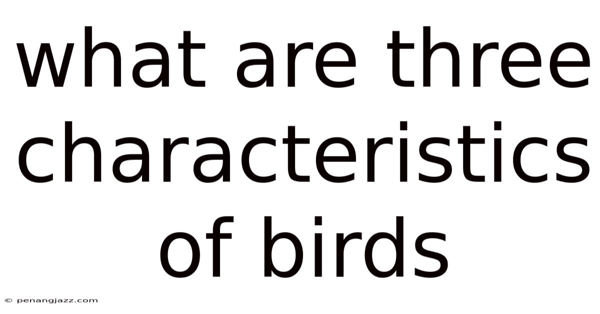 What Are Three Characteristics Of Birds