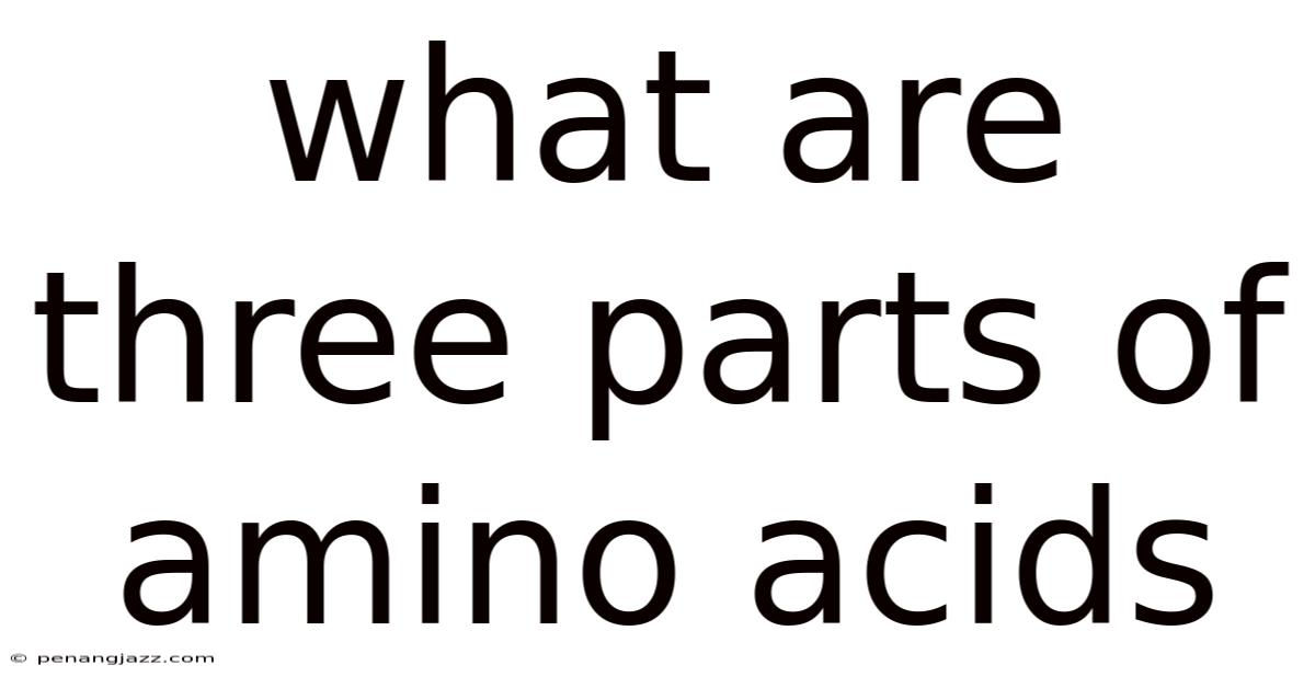 What Are Three Parts Of Amino Acids