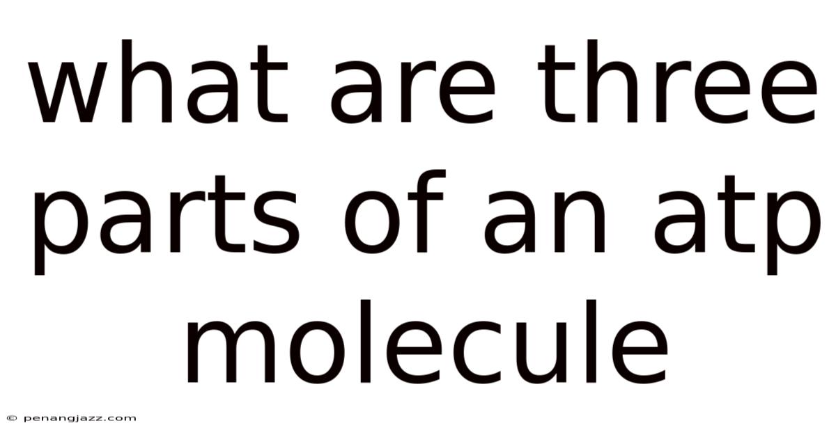 What Are Three Parts Of An Atp Molecule