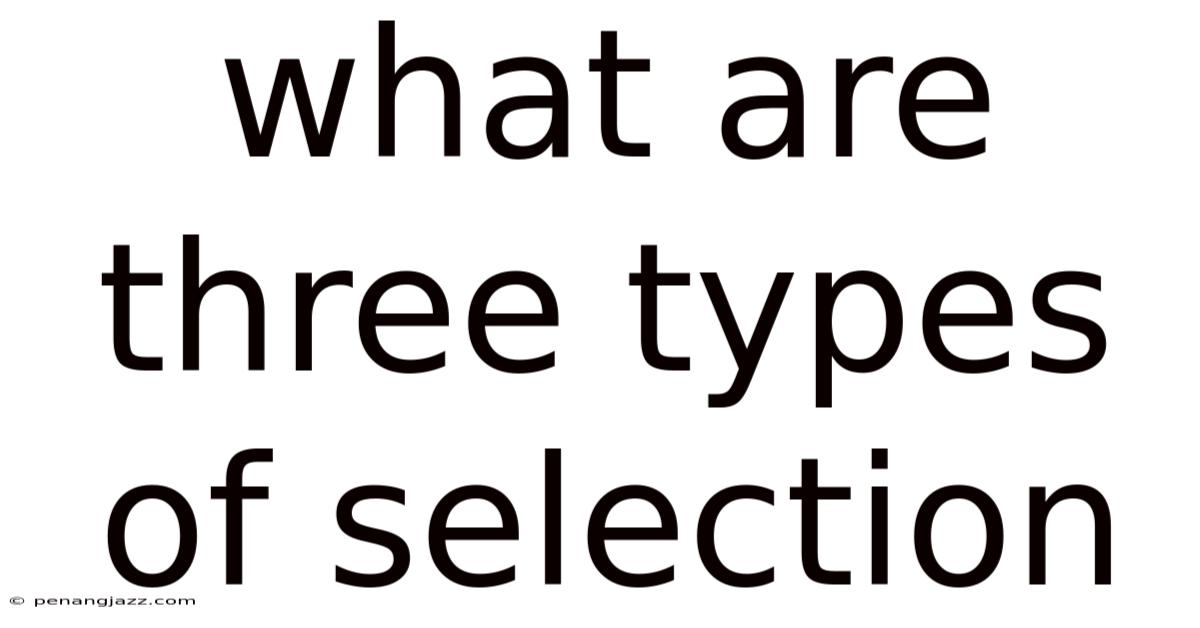 What Are Three Types Of Selection