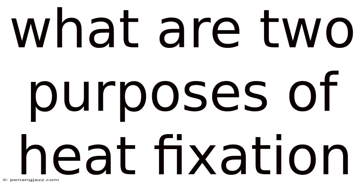 What Are Two Purposes Of Heat Fixation