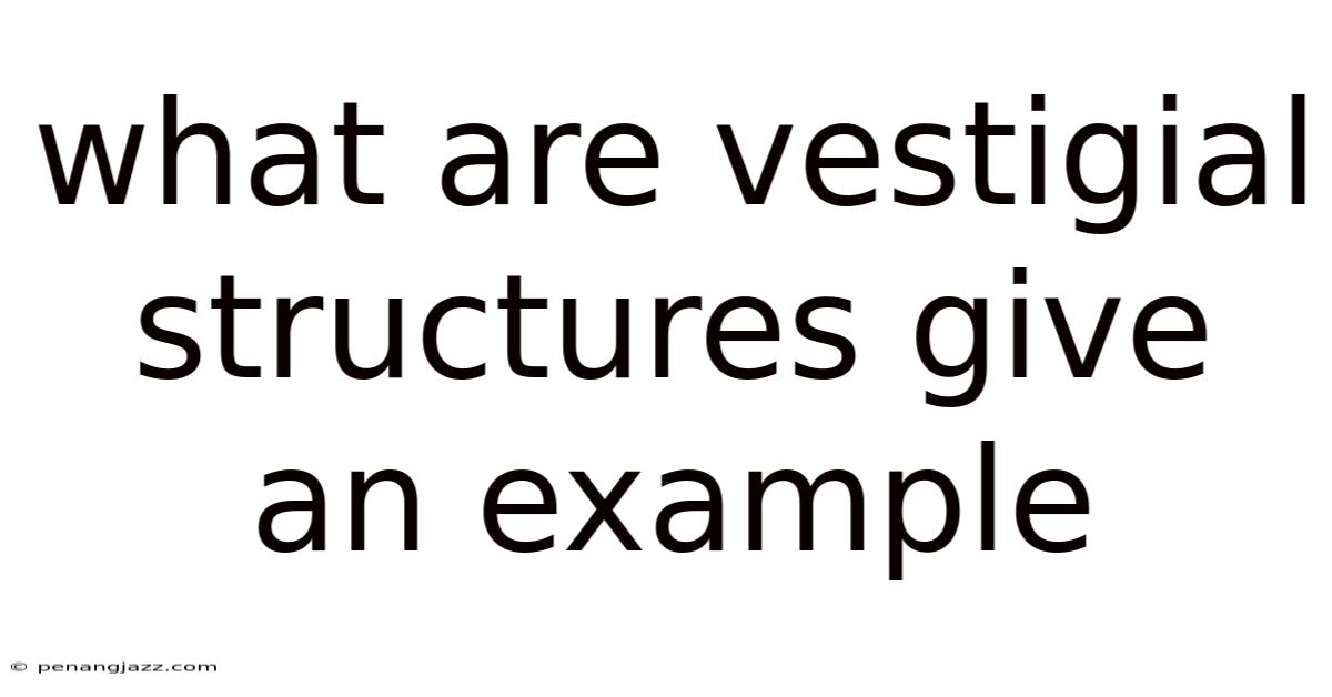 What Are Vestigial Structures Give An Example