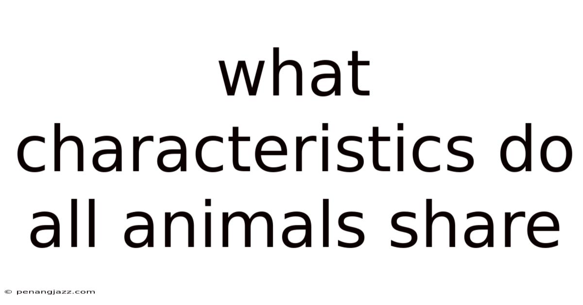 What Characteristics Do All Animals Share