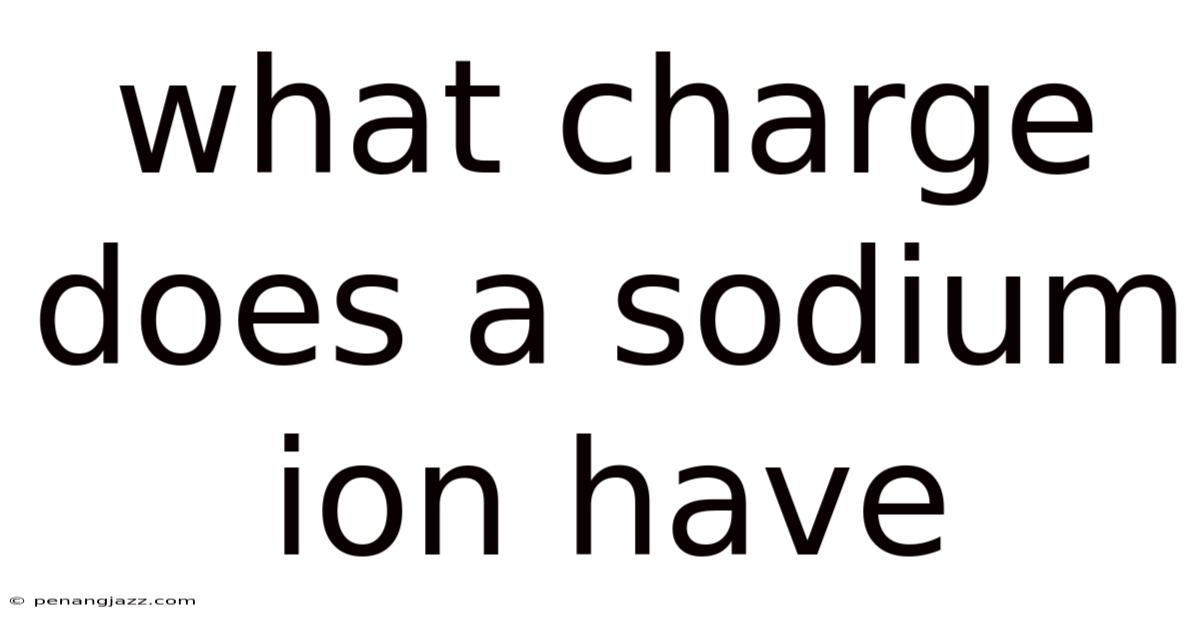 What Charge Does A Sodium Ion Have