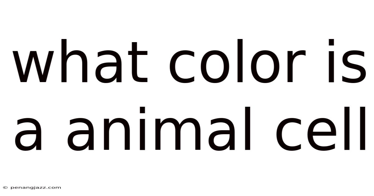 What Color Is A Animal Cell