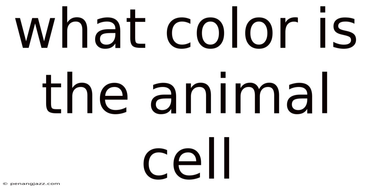 What Color Is The Animal Cell