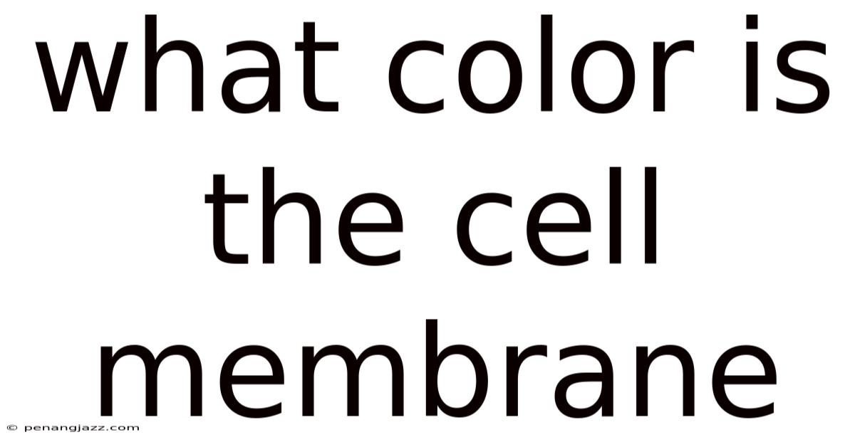 What Color Is The Cell Membrane
