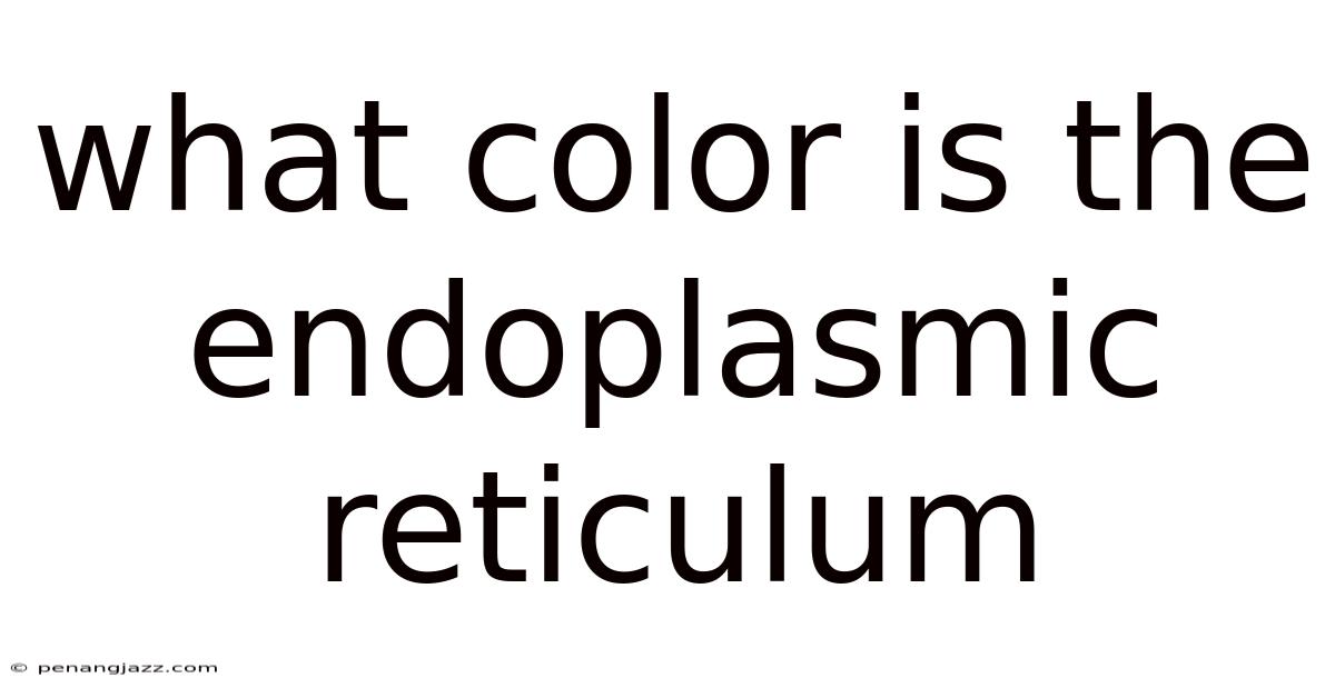 What Color Is The Endoplasmic Reticulum