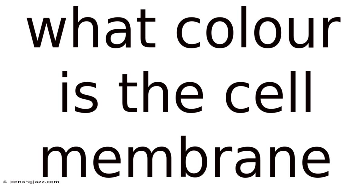 What Colour Is The Cell Membrane