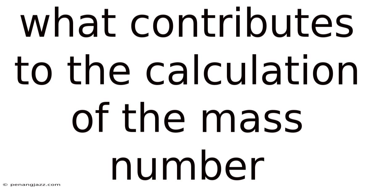 What Contributes To The Calculation Of The Mass Number