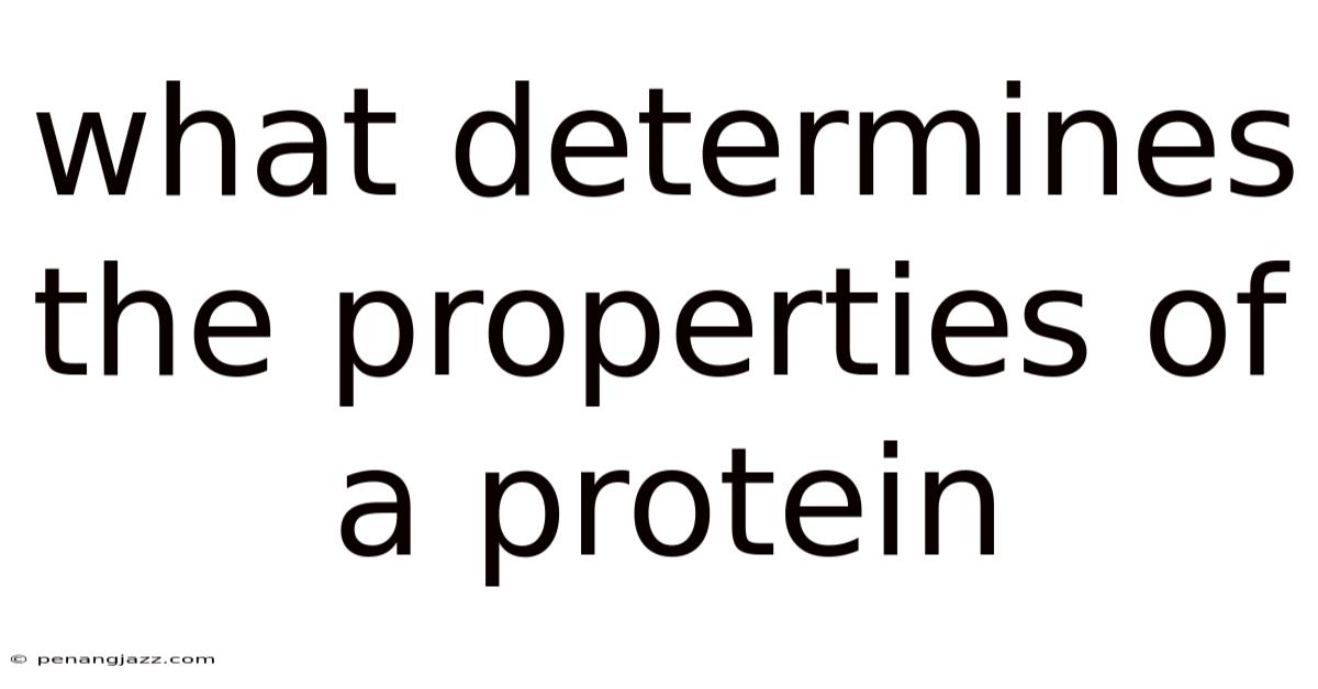 What Determines The Properties Of A Protein