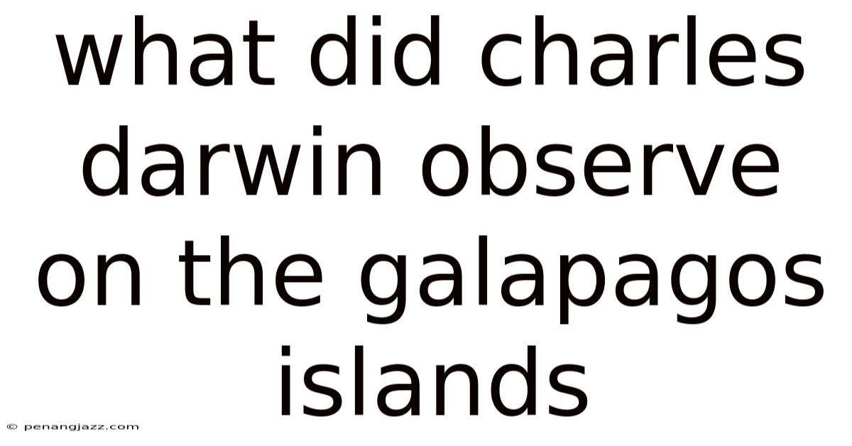 What Did Charles Darwin Observe On The Galapagos Islands