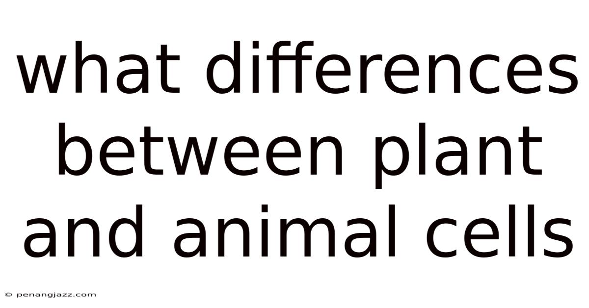 What Differences Between Plant And Animal Cells