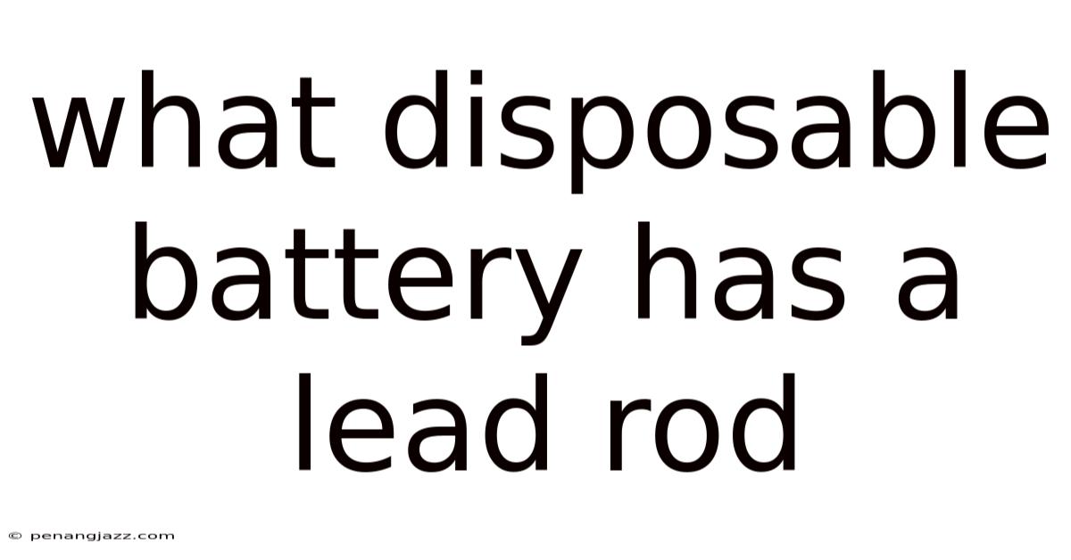 What Disposable Battery Has A Lead Rod