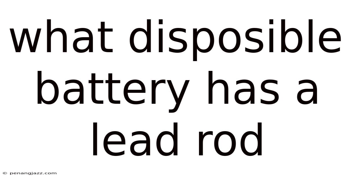 What Disposible Battery Has A Lead Rod