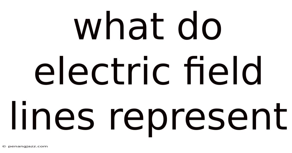 What Do Electric Field Lines Represent