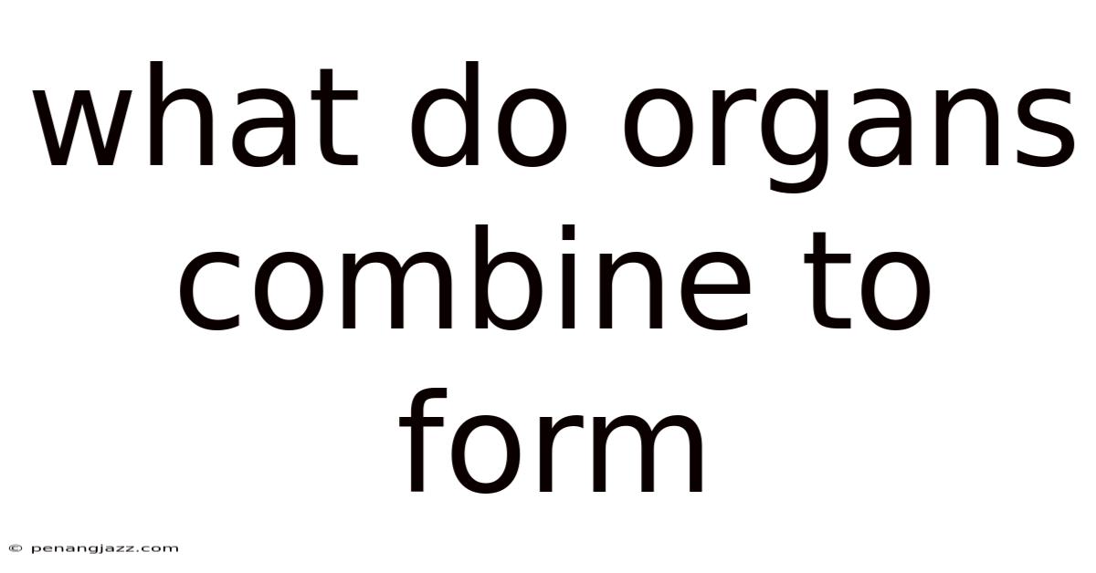 What Do Organs Combine To Form