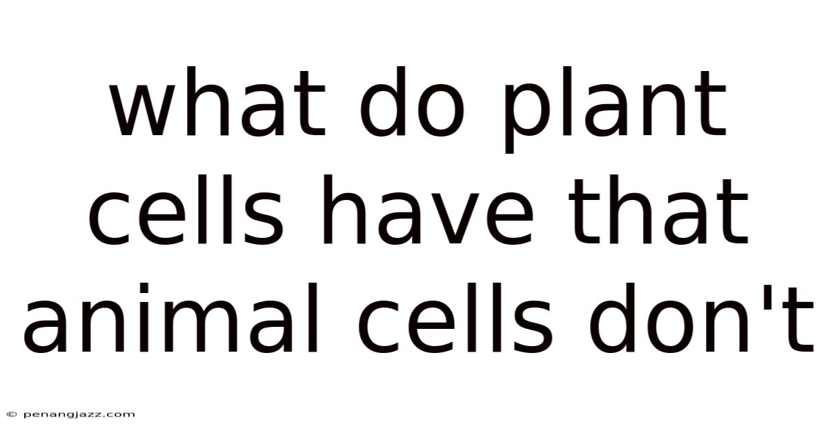 What Do Plant Cells Have That Animal Cells Don't