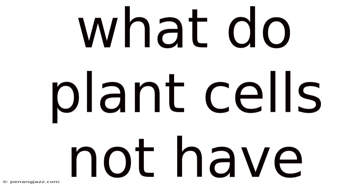 What Do Plant Cells Not Have