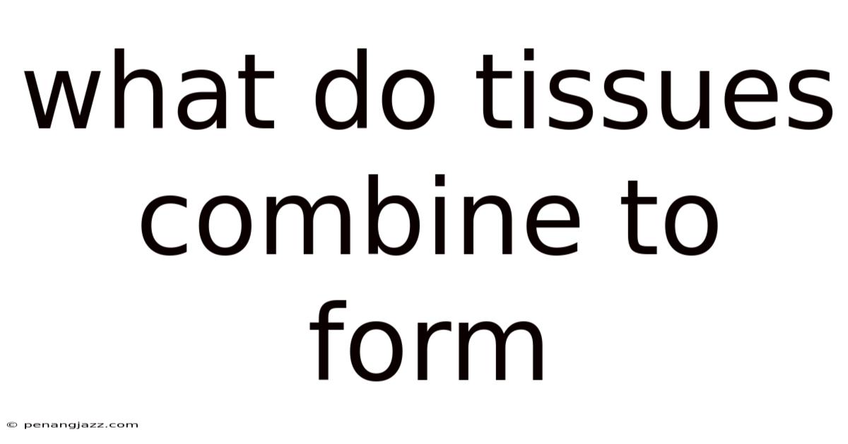 What Do Tissues Combine To Form