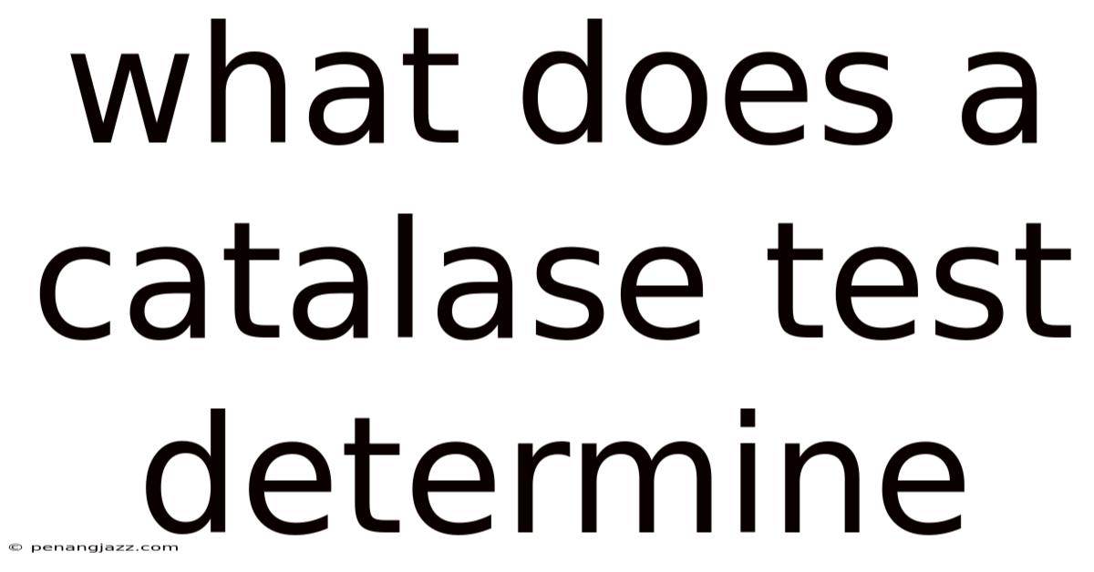 What Does A Catalase Test Determine