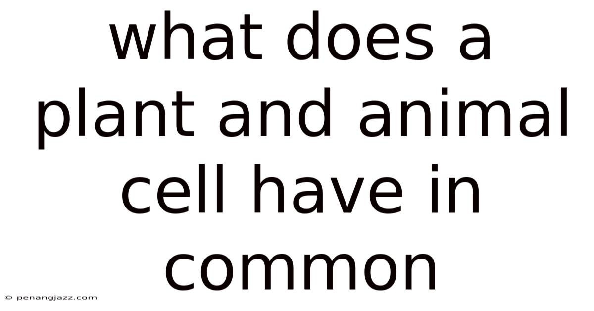 What Does A Plant And Animal Cell Have In Common
