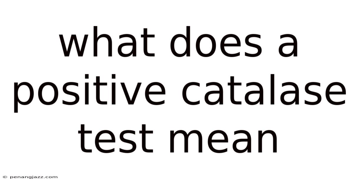 What Does A Positive Catalase Test Mean