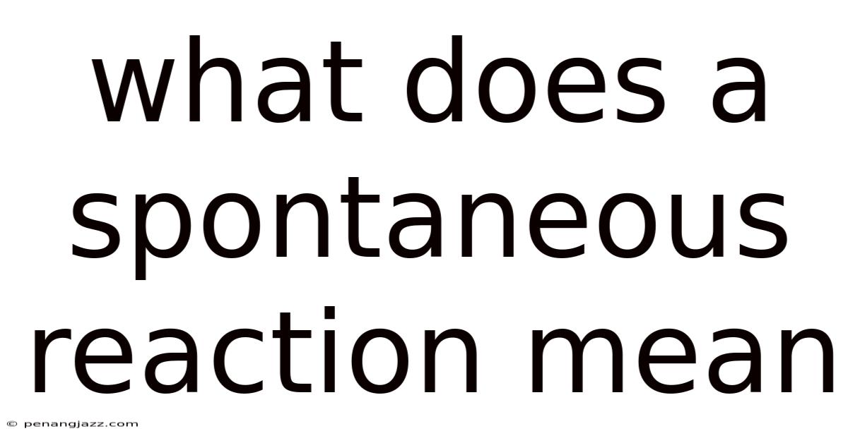 What Does A Spontaneous Reaction Mean