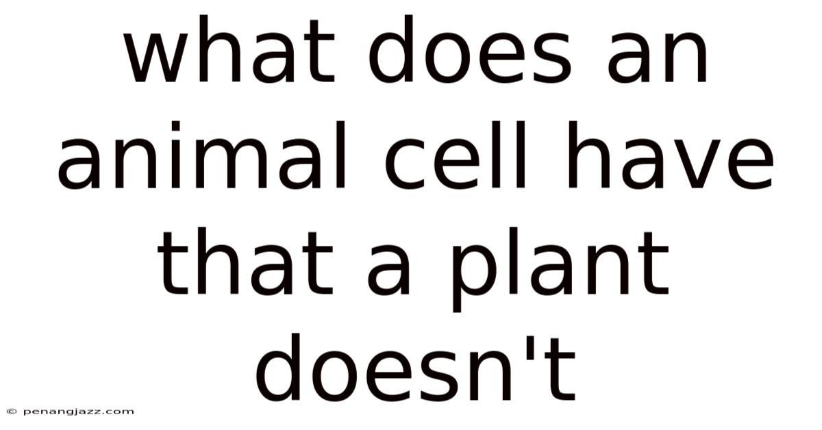 What Does An Animal Cell Have That A Plant Doesn't