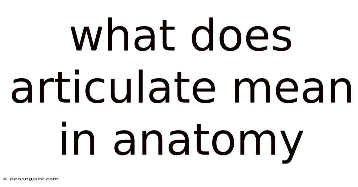 What Does Articulate Mean In Anatomy