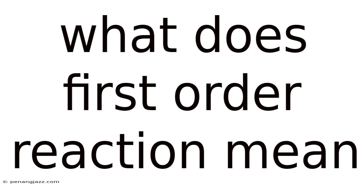 What Does First Order Reaction Mean
