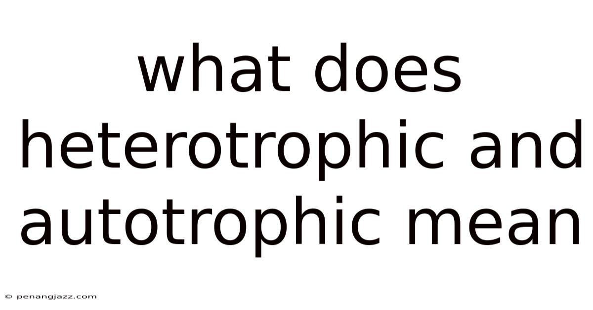 What Does Heterotrophic And Autotrophic Mean