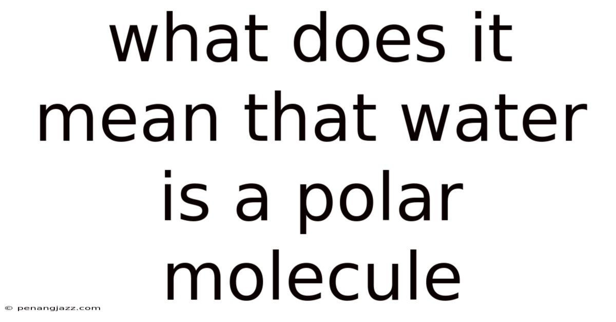 What Does It Mean That Water Is A Polar Molecule