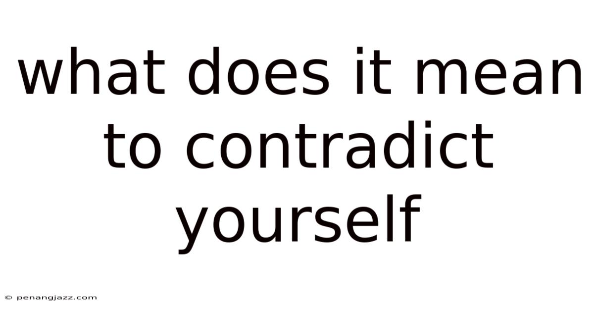 What Does It Mean To Contradict Yourself