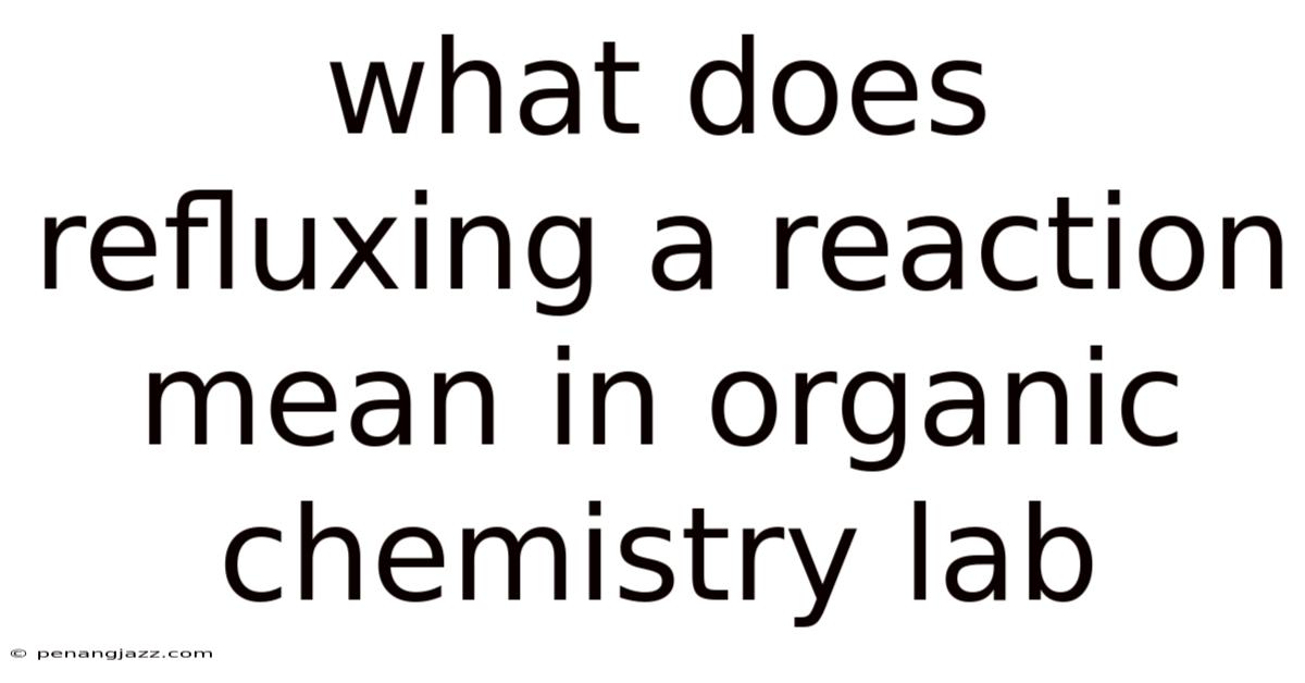 What Does Refluxing A Reaction Mean In Organic Chemistry Lab