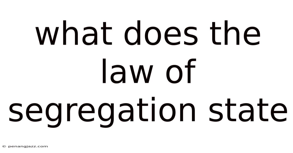 What Does The Law Of Segregation State