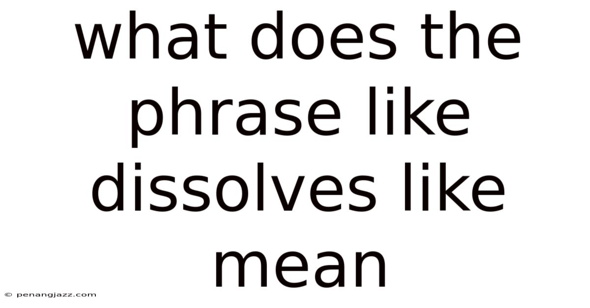 What Does The Phrase Like Dissolves Like Mean