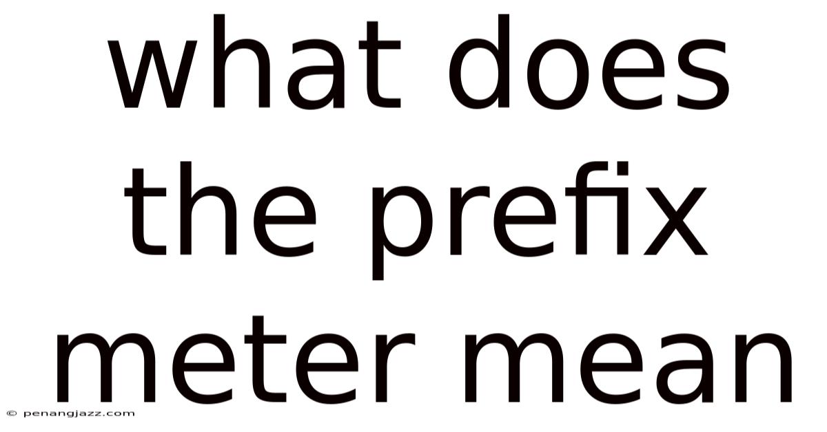 What Does The Prefix Meter Mean