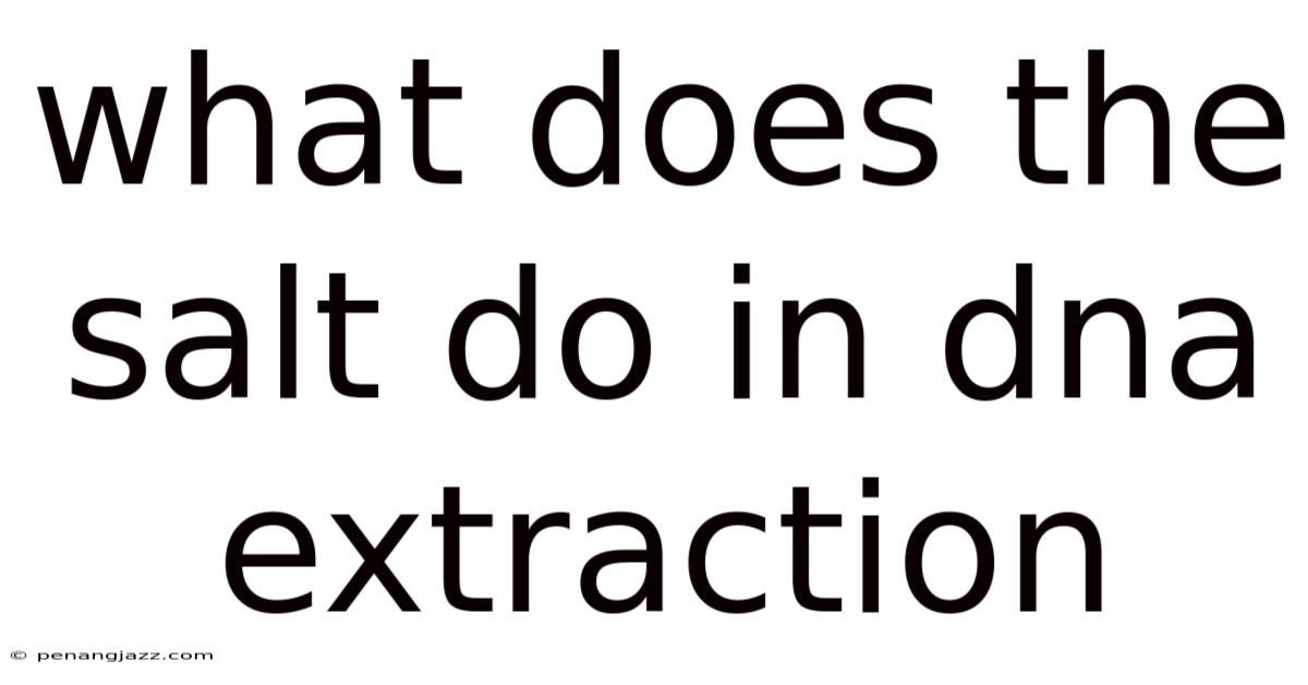 What Does The Salt Do In Dna Extraction