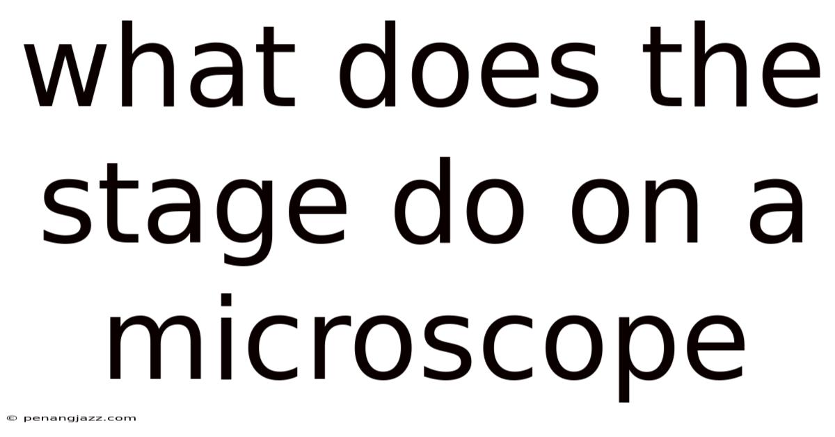 What Does The Stage Do On A Microscope