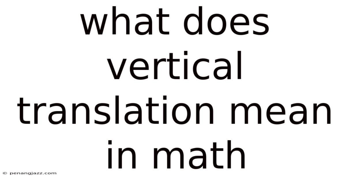 What Does Vertical Translation Mean In Math