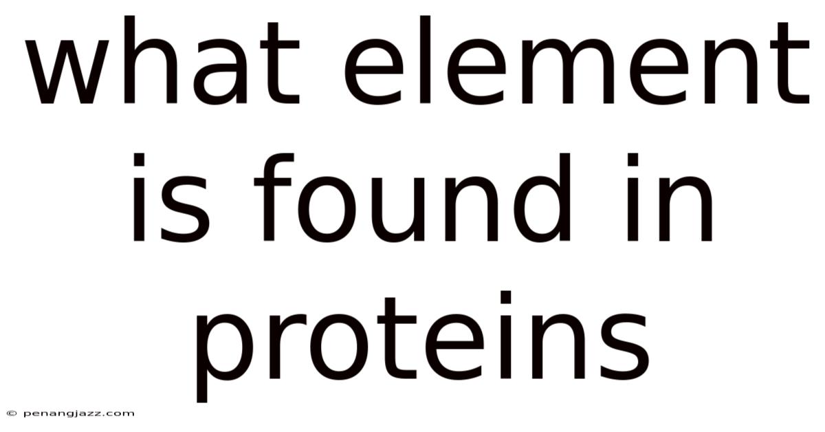 What Element Is Found In Proteins