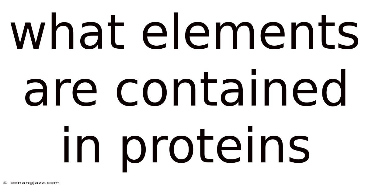 What Elements Are Contained In Proteins
