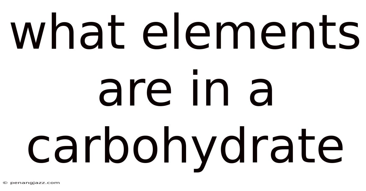 What Elements Are In A Carbohydrate