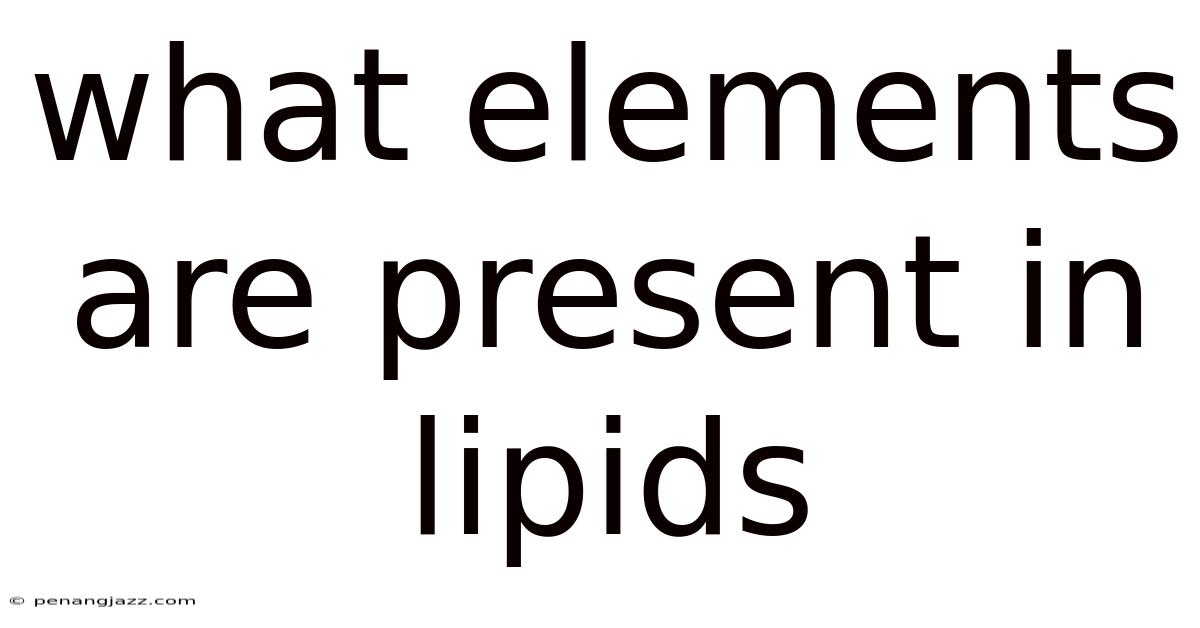 What Elements Are Present In Lipids
