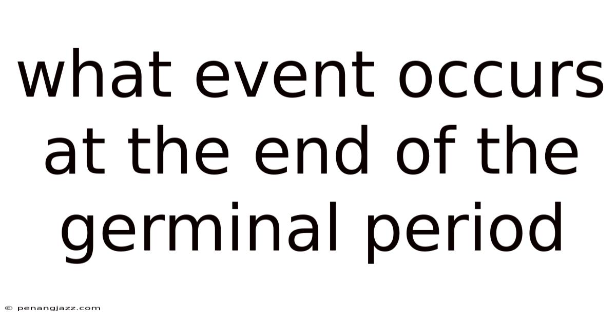 What Event Occurs At The End Of The Germinal Period